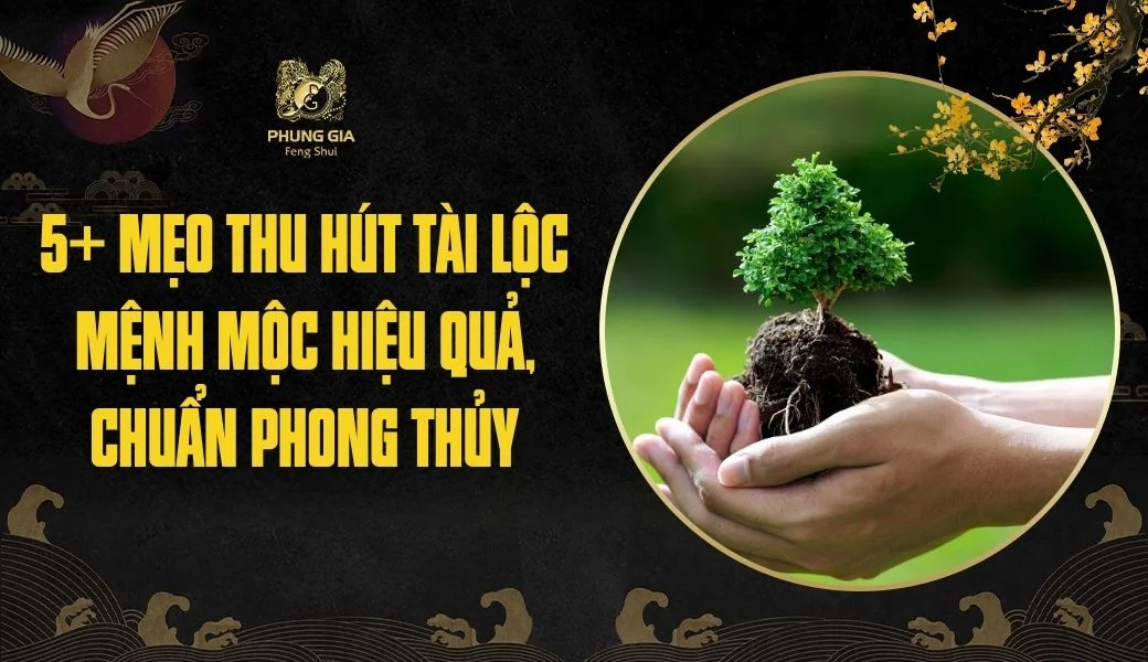 5+ mẹo thu hút tài lộc mệnh Mộc hiệu quả, chuẩn phong thủy